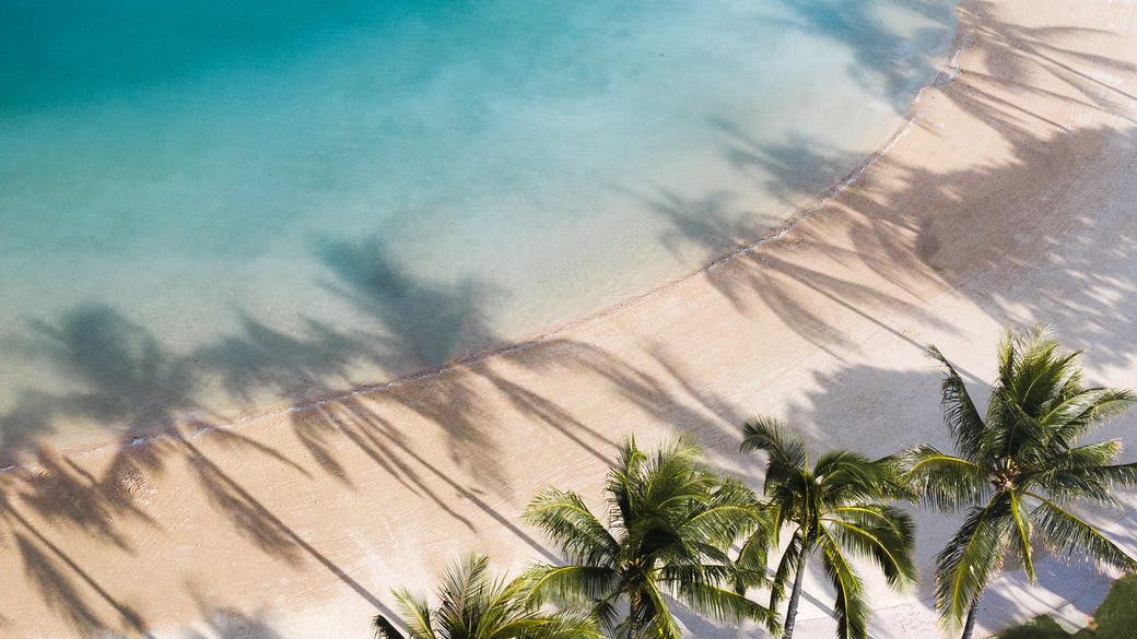 tropical coast with palms and blue sea